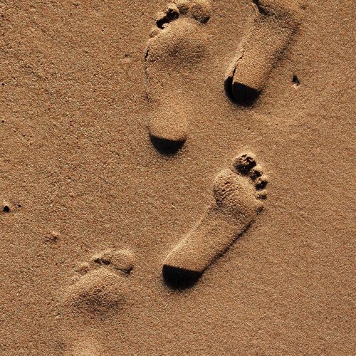 ¿CÓMO DETOXIFICAR EL ORGANISMO?